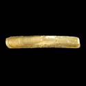 To Conchology (Solen cylindraceus)