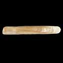 To Conchology (Solen capensis)