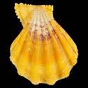 To Conchology (Manupecten pesfelis YELLOW)
